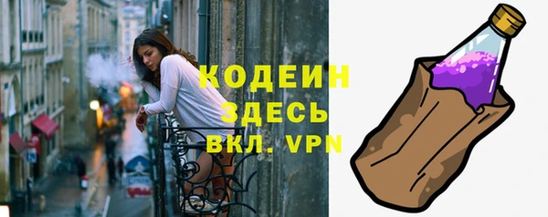 прущие грибы Богданович