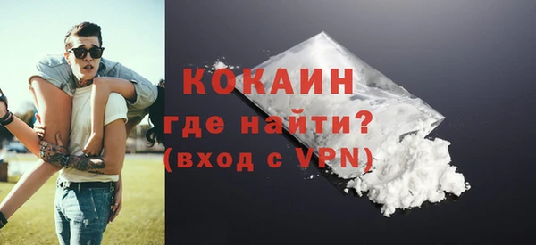 прущие грибы Богданович