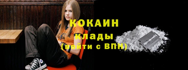 прущая мука Богородск