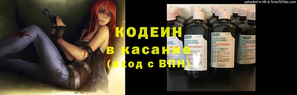 прущие грибы Богданович
