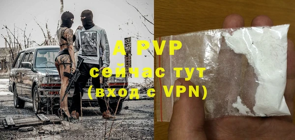 прущие грибы Богданович