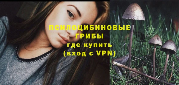 прущая мука Богородск