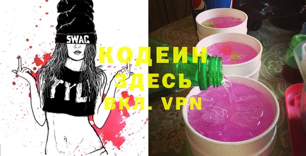 прущие грибы Богданович