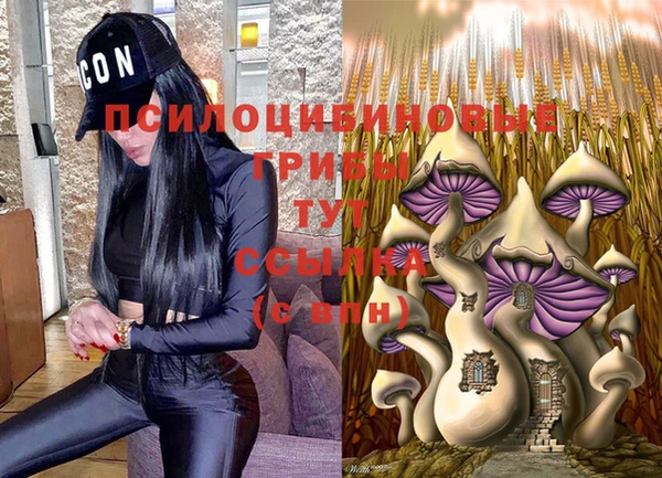прущие грибы Богданович