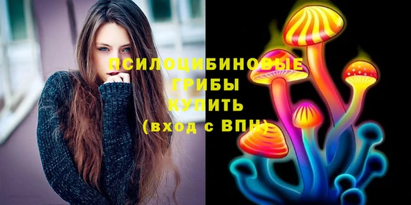 прущие грибы Богданович