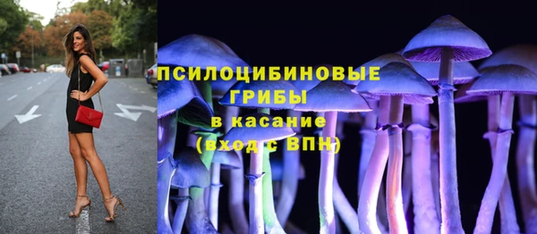 прущие грибы Богданович