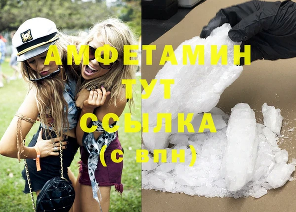 прущие грибы Богданович