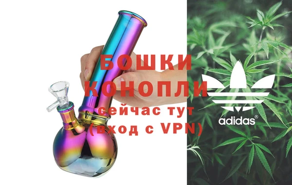 прущие грибы Богданович