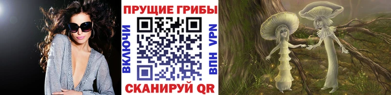 как найти закладки  Серафимович  Галлюциногенные грибы мухоморы 