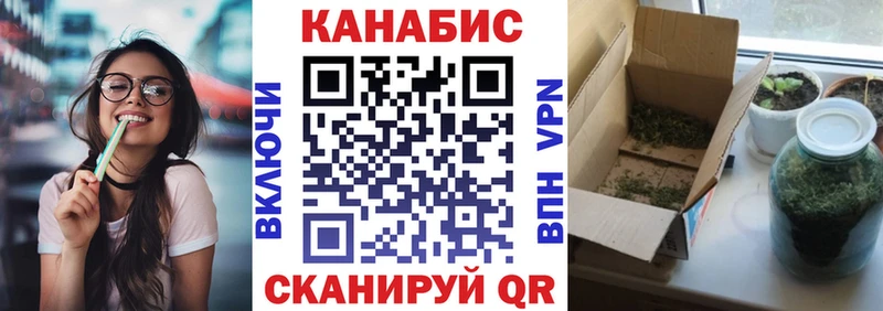 Шишки марихуана планчик наркотики Серафимович